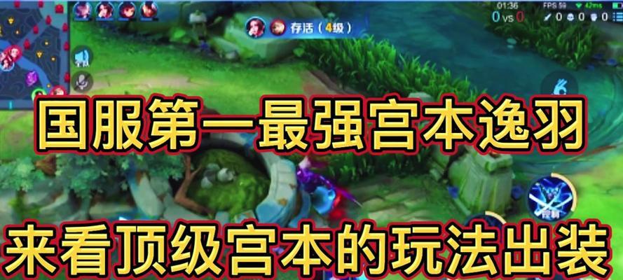 宫本铭文2022出装攻略（打造无敌忍者，铭文装备全解析）