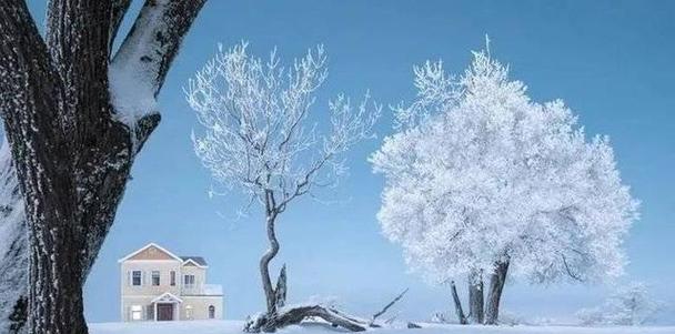 暖雪真火出装最新攻略（持久输出关键，一招制敌！）