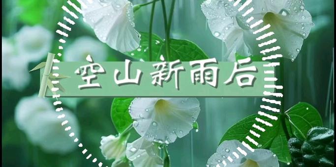 全局出装攻略（从零开始，成为全球顶尖玩家！）