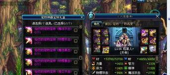 dnf附魔要什么,打造最强装备，附魔选择全解析