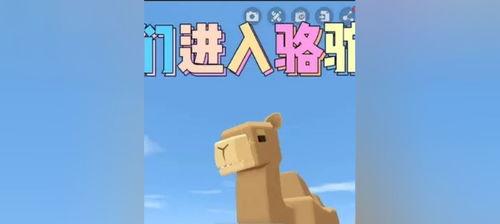 我的世界骆驼要装什么,探索其独特的生成与装载技巧