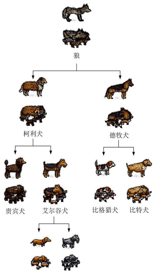 《希望之村手游新版本攻略大揭秘》（带你探索最新版本，成为希望之村的王者！）