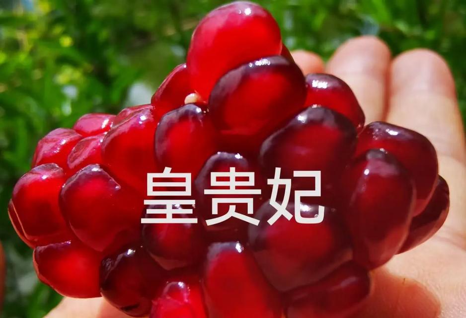 《我是皇美人攻略》（一位平凡女子的王朝传奇）