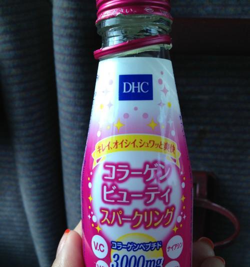 《贱狗攻略大全》（以贱狗找神马攻略为主题的综合指南）