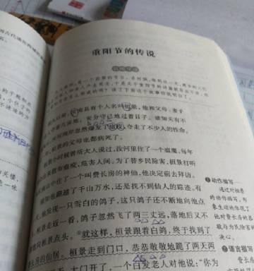 深度剖析DR零攻略301，全面解密攻略细节（关键节点攻略、队伍配置、技能选择、装备策略、技巧要点）